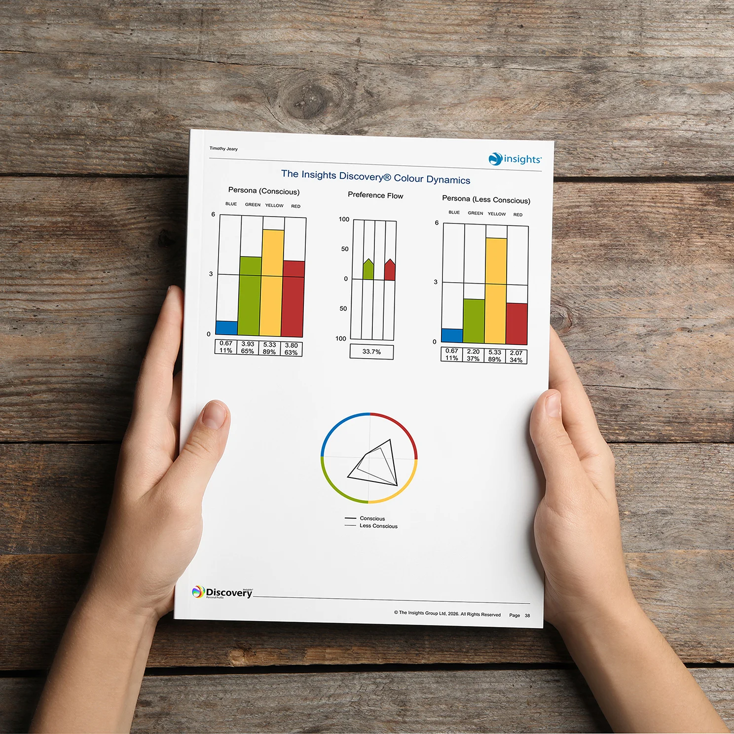 Person holding an Insights Discovery report displaying colour dynamics charts and graphs on a wooden surface.